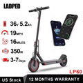 LP60 Electric Scooter