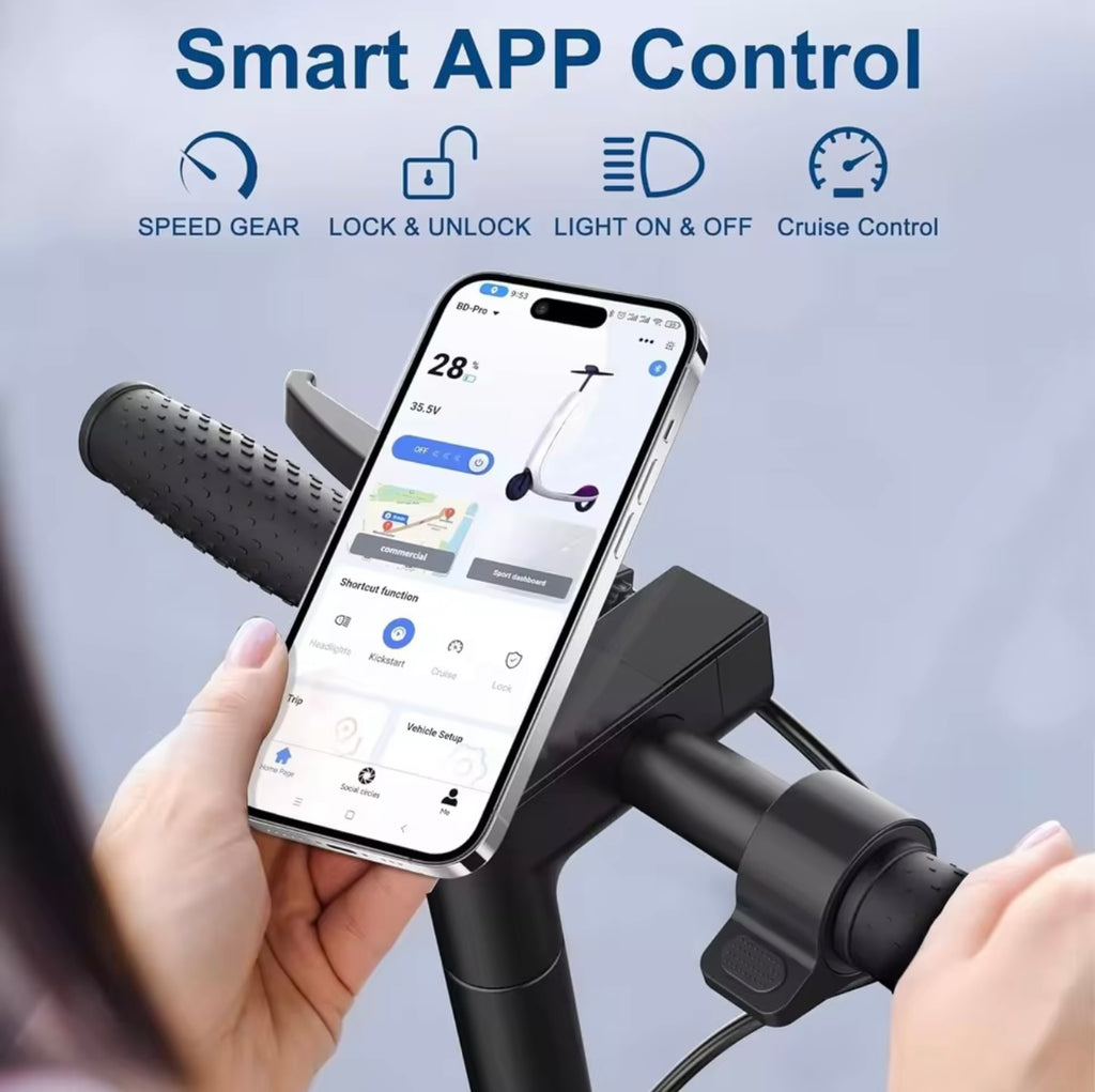 LP60 Electric Scooter